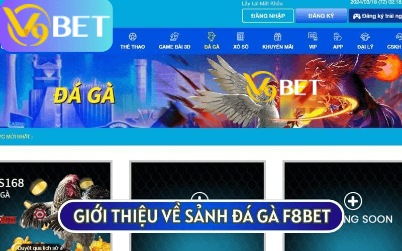 GIỚI THIỆU VỀ SẢNH ĐÁ GÀ V9BET